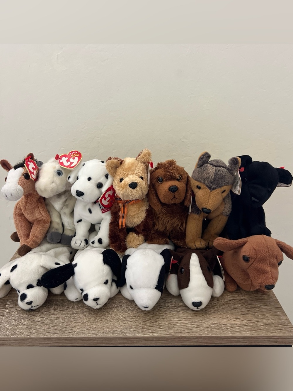 Lot 12 Ty Beanie Babies Dogs Horses Fidget Rescue Seadog Bruno Dotty Sparky Ween